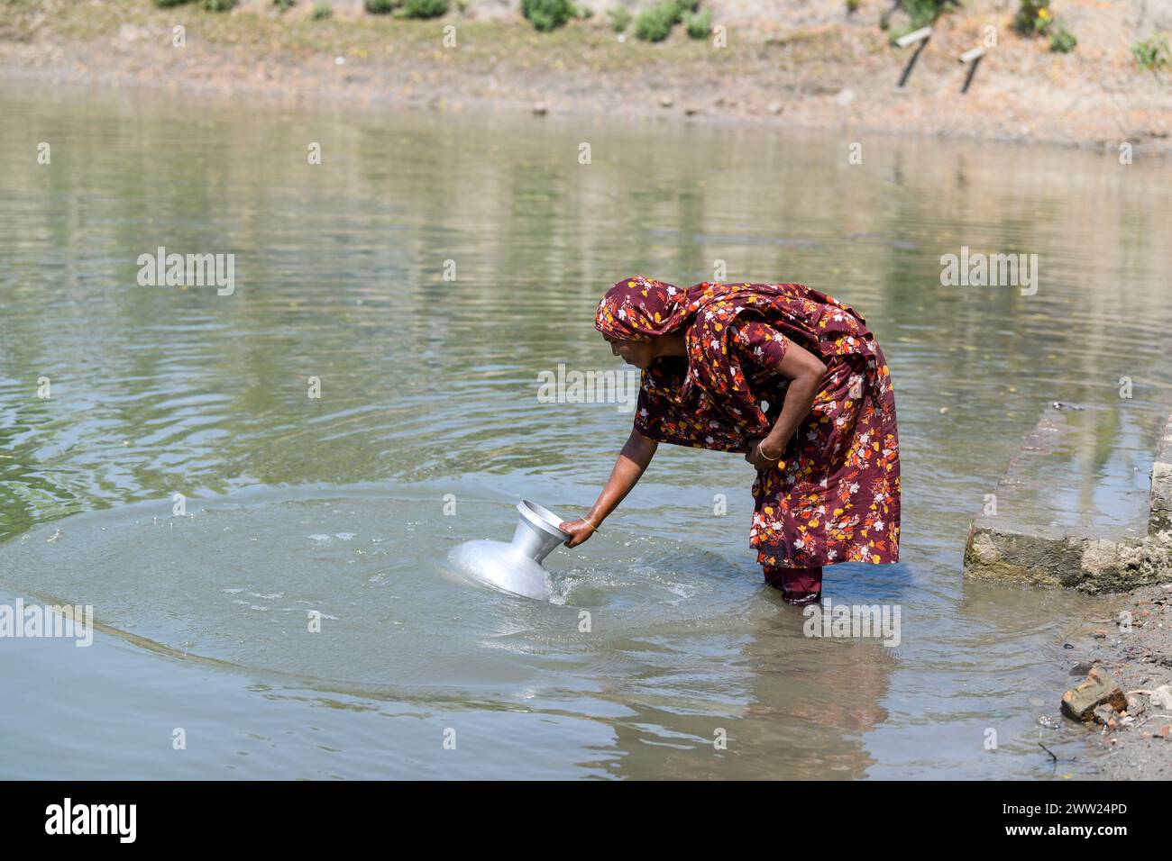 A woman collecting drinking water from a pond at Shyamnagar Gabura in ...