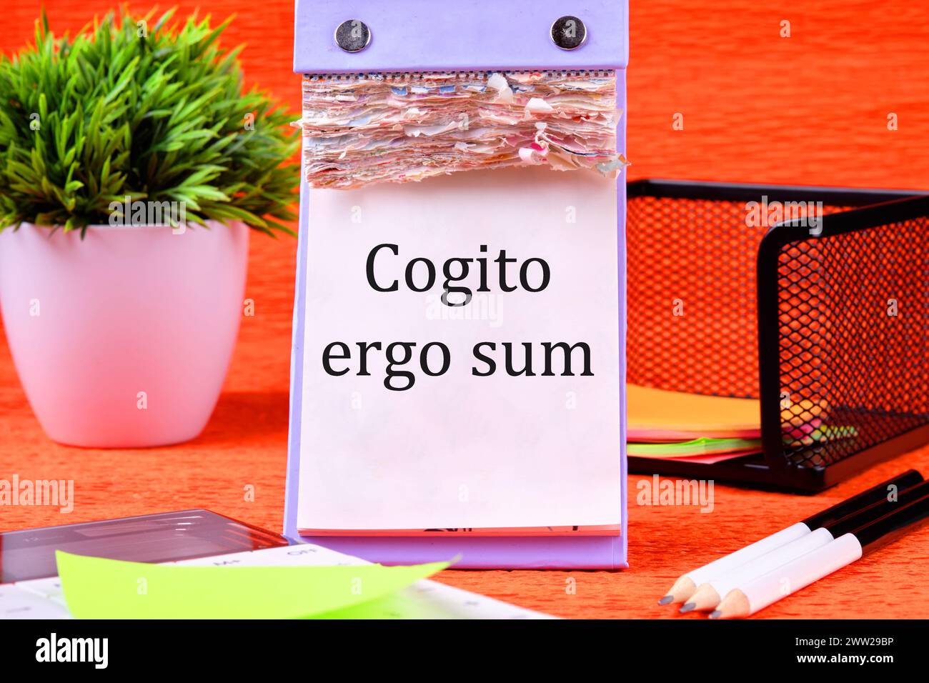 The words Cogito Ergo Sum or I think Therefore I Am It is written on a desktop calendar with loose leaves Stock Photo