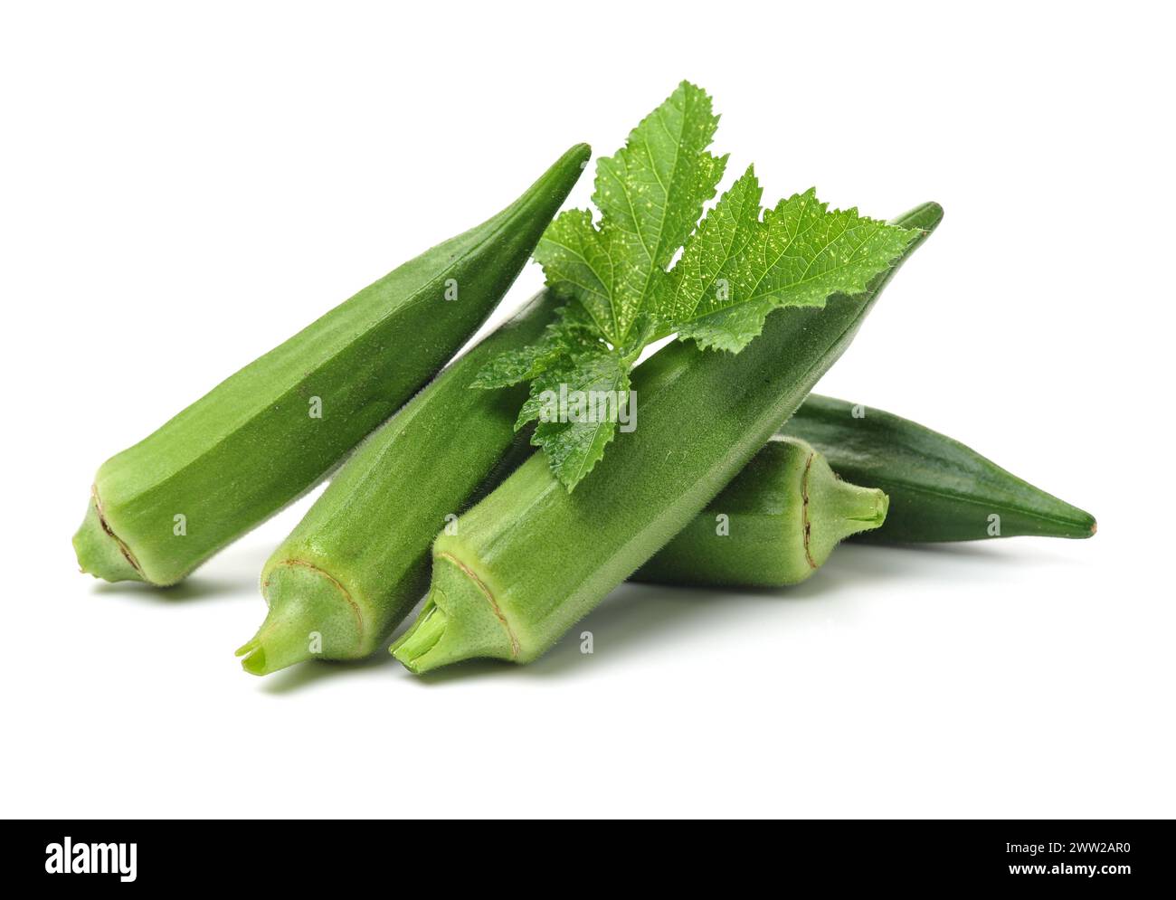 Okrow Fresh young okra isolated on white background Stock Photo - Alamy