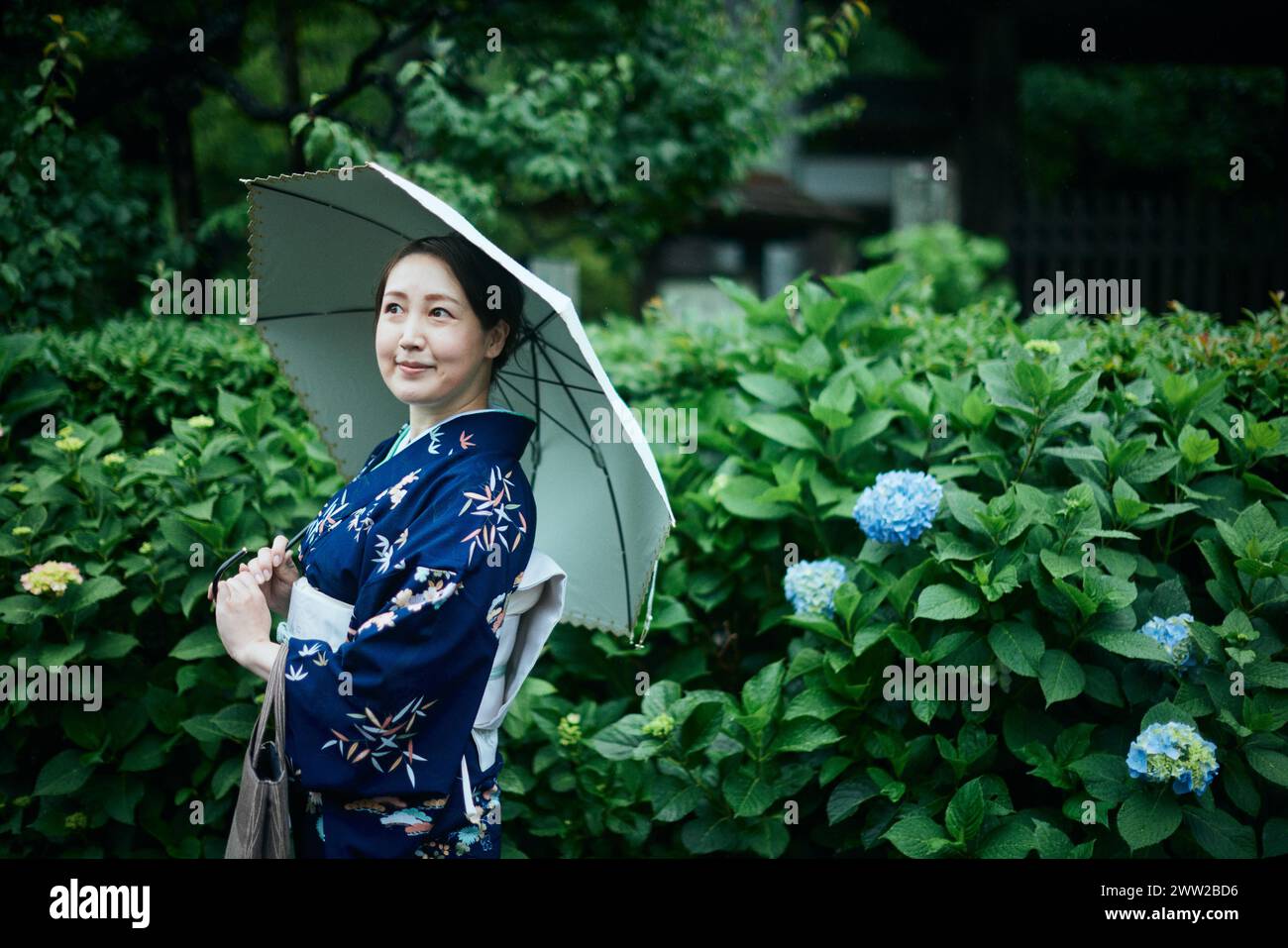 A woman in a kimono holding an umbrella Stock Photo