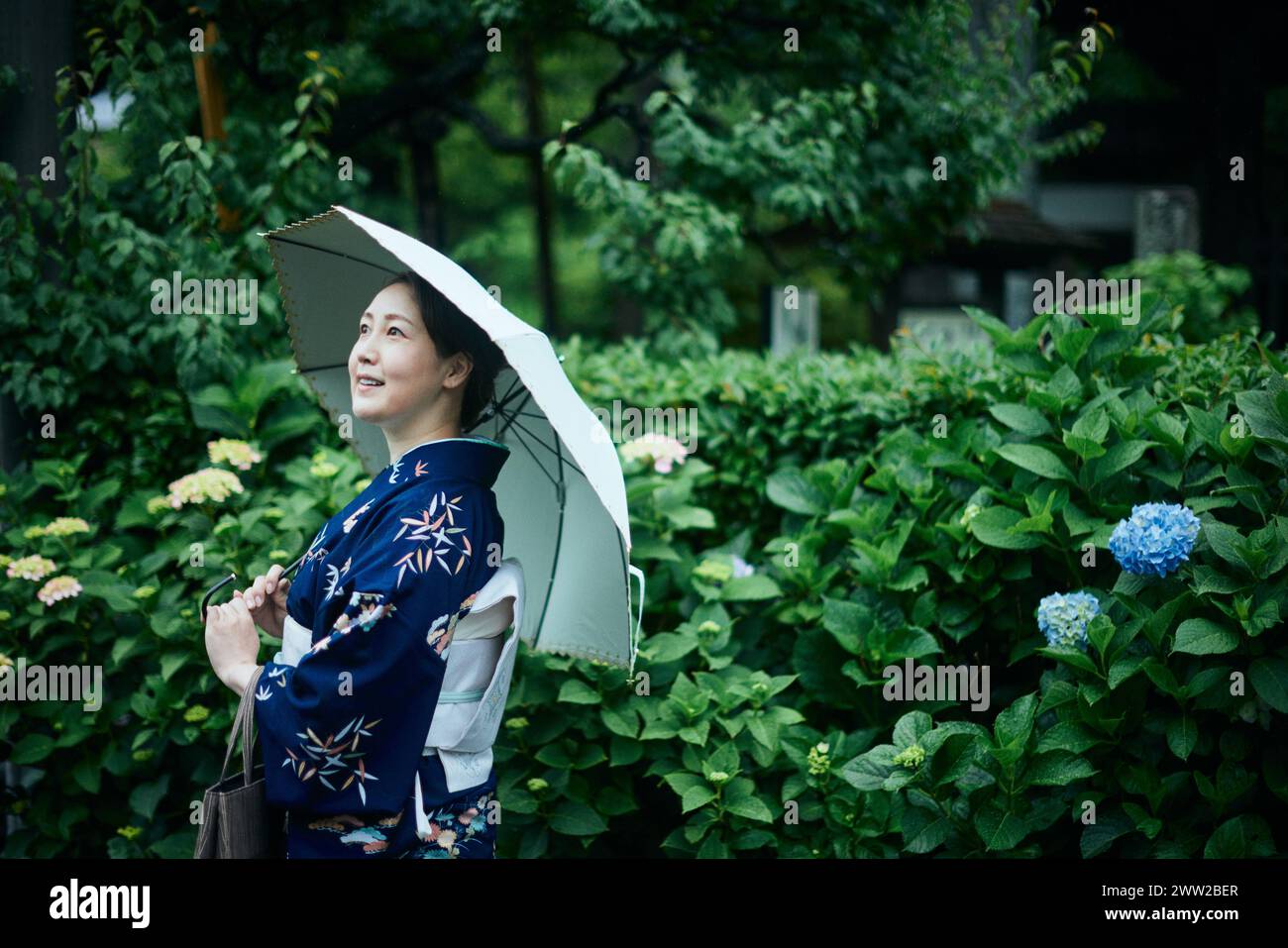 A woman in a kimono holding an umbrella Stock Photo