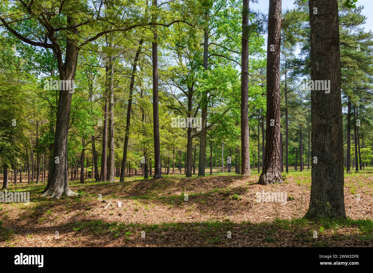 The Richmond National Battlefield Park Commemorating 13 American Civil 