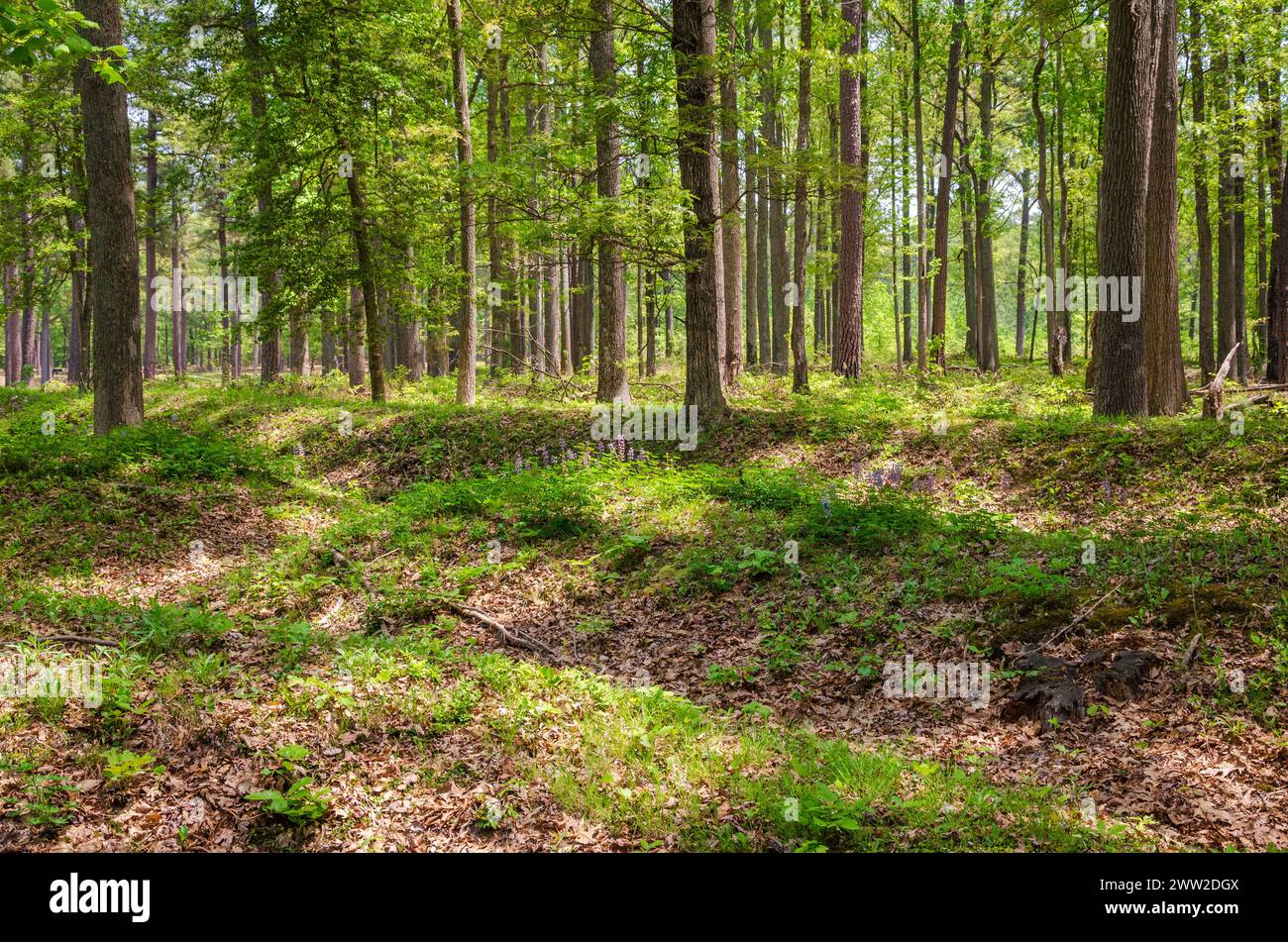 The Richmond National Battlefield Park Commemorating 13 American Civil 