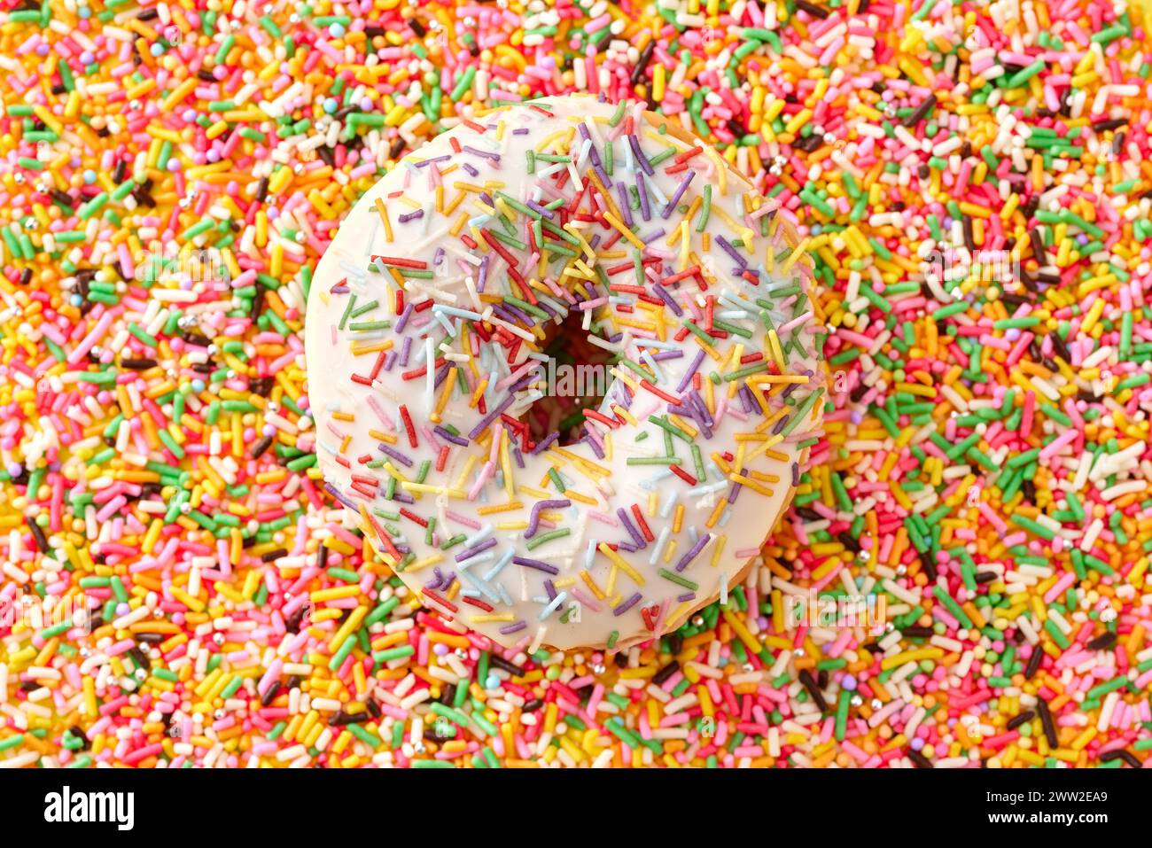 A donut covered in colorful sprinkles Stock Photo