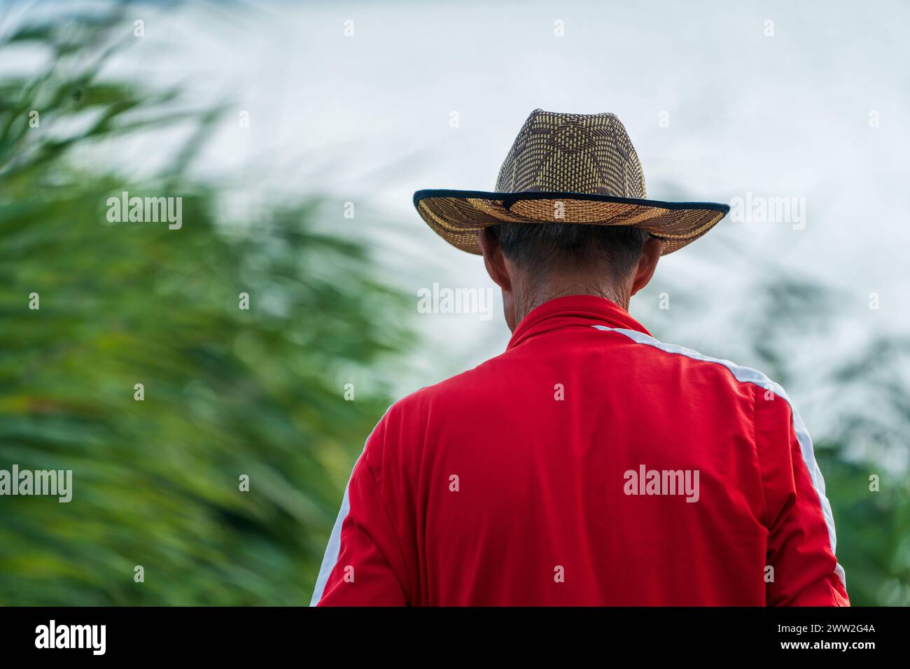 Old man with red jacket and light brown cowboy hat with black ornament design. Green reeds and sky , as blurry background. Fisherman story. Stock Photo
