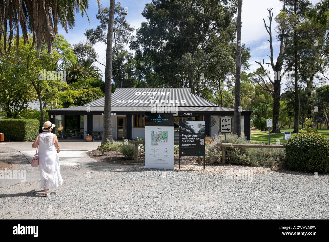 Barossa Valley,Octeine Cafe and coffee shop at Seppeltsfield wine