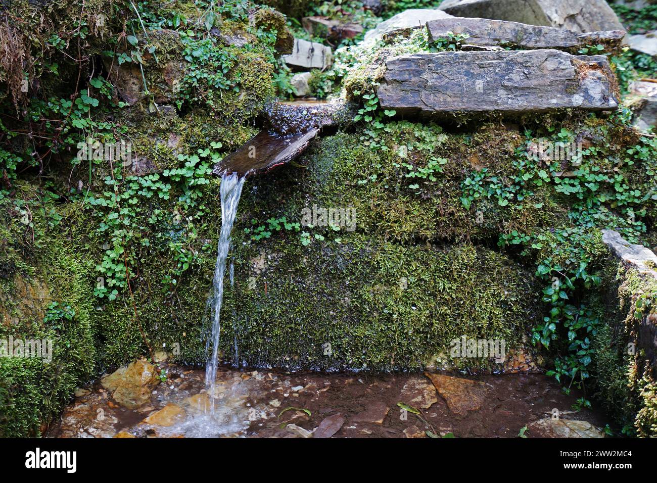 Natural landscape of green mountain range with waterfall along trekking to Tadapani, Annapurna Himalayan range- Nepal Stock Photo