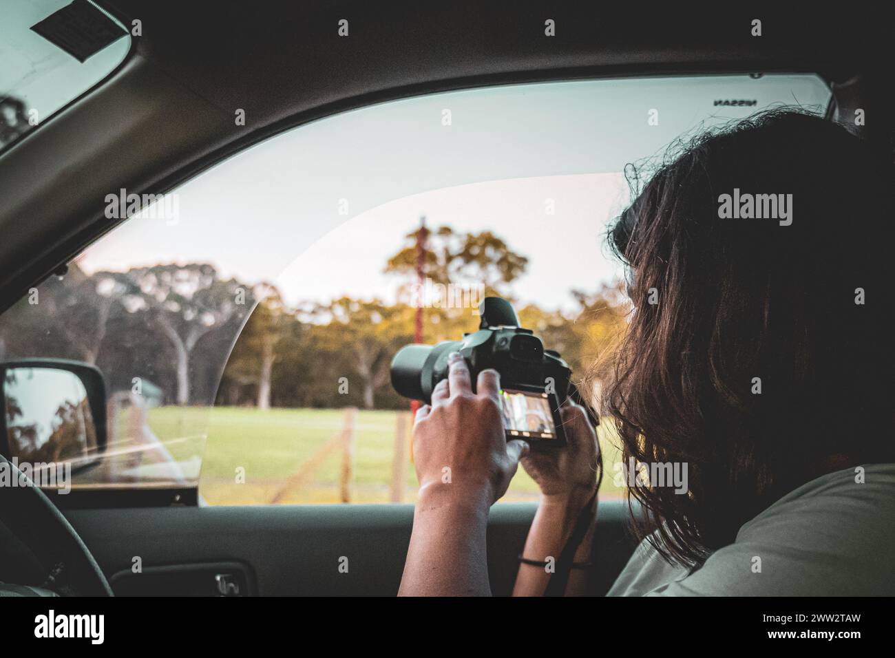 View over the shoulder of a photographer capturing nature's beauty from within a vehicle. Stock Photo