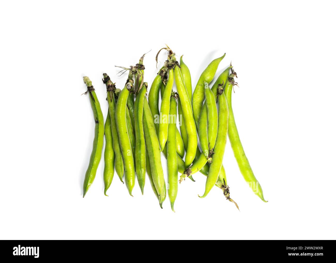 Broad Beans Isolated On White Background Stock Photo