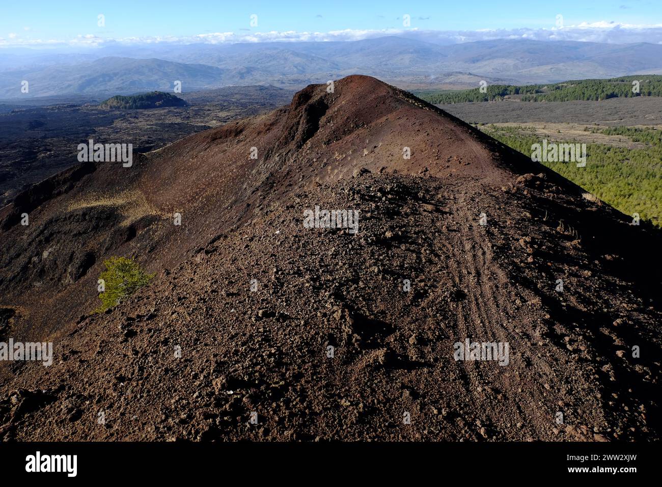 extinct volcano crater with lone pine tree in Etna Park and mountain range at the horizon, Sicily, Italy Stock Photo