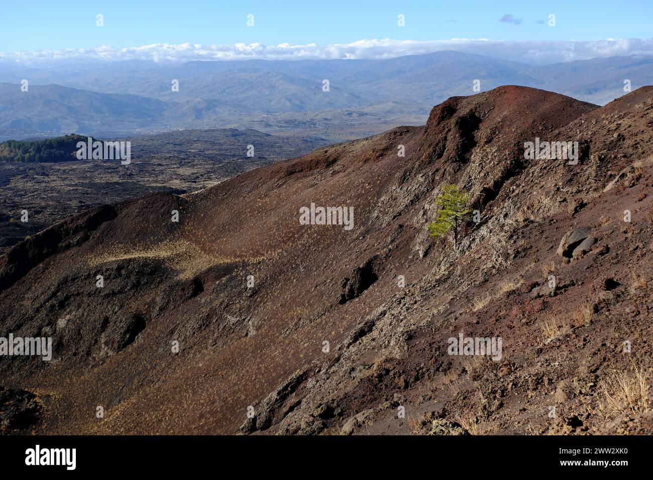 extinct volcano crater with lone pine tree in Etna Park and mountain range at the horizon, Sicily, Italy Stock Photo