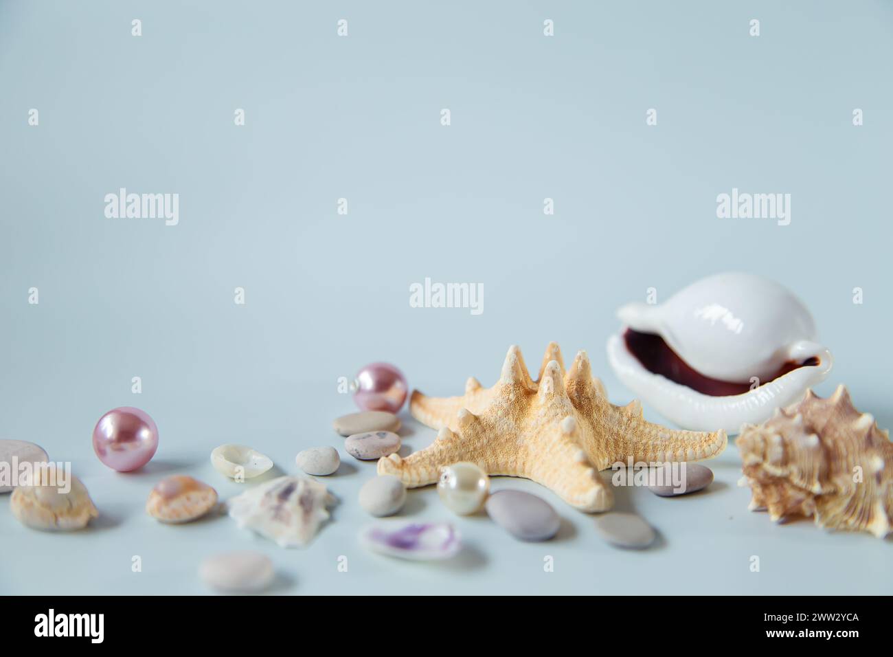 Seashells, starfish and pearls on a gray background. Tropical summer background, free space for your decoration. Stock Photo