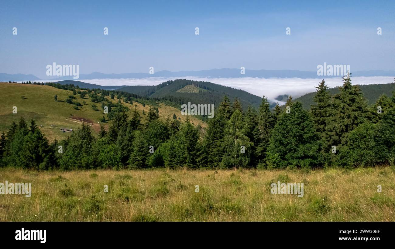 The Landscape of the Carpathian Mountains in Romania Stock Photo - Alamy