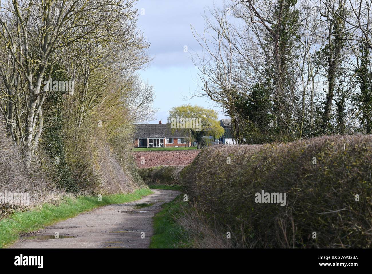 looking down a lane towards a house Stock Photo