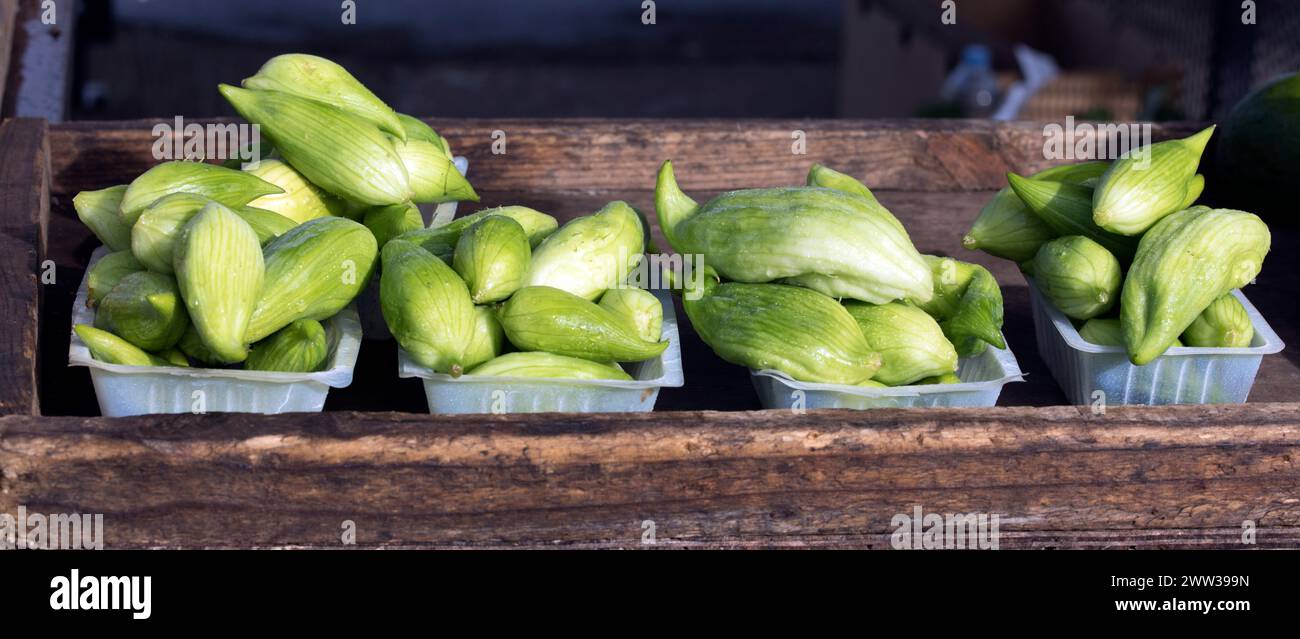Cayua hi-res stock photography and images - Alamy