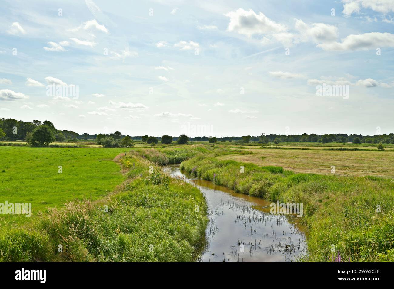 Der weite Blick ins Friesland Stock Photo