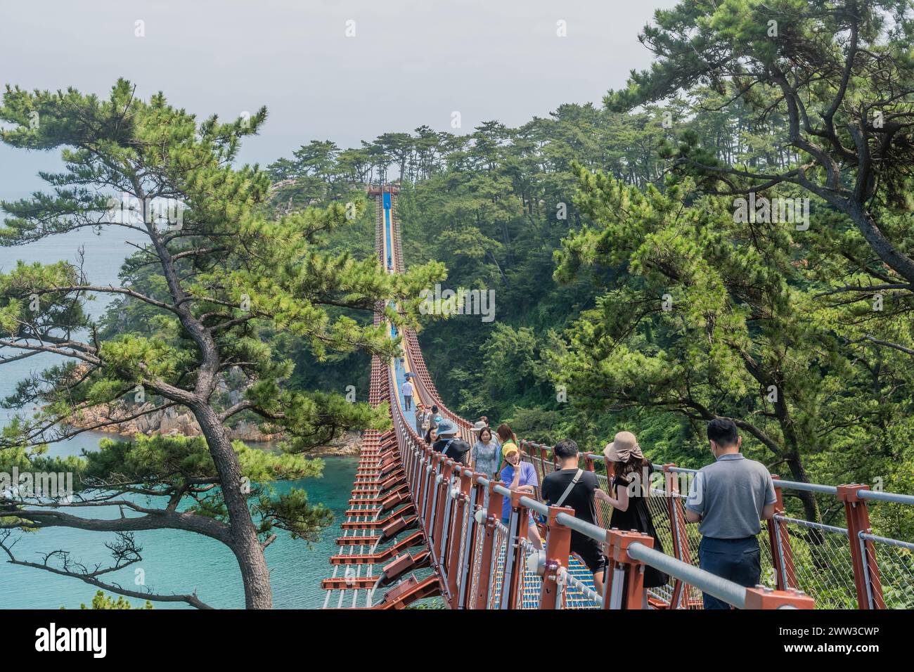 Visitors walk across a scenic suspension bridge along a lush coastal