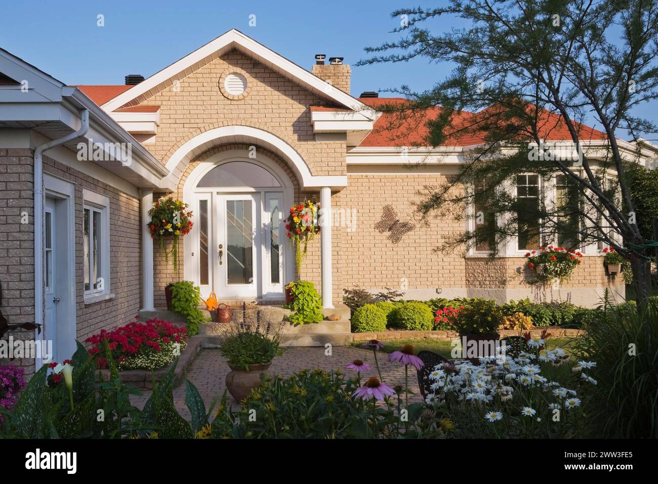 Tan brick home with white trim and landscaped front yard with raised border with red Pelargonium, Geranium flowers, Echinacea purpurea, Coneflowers Stock Photo