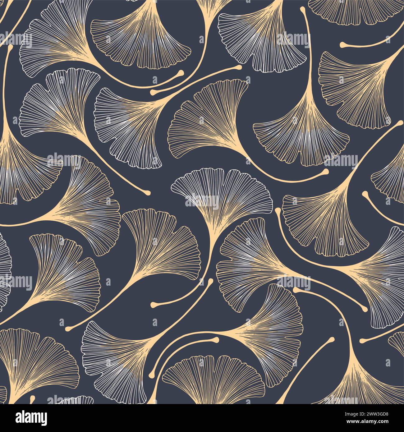Ginkgo ginkgo biloba leaves Stock Vector Images - Alamy