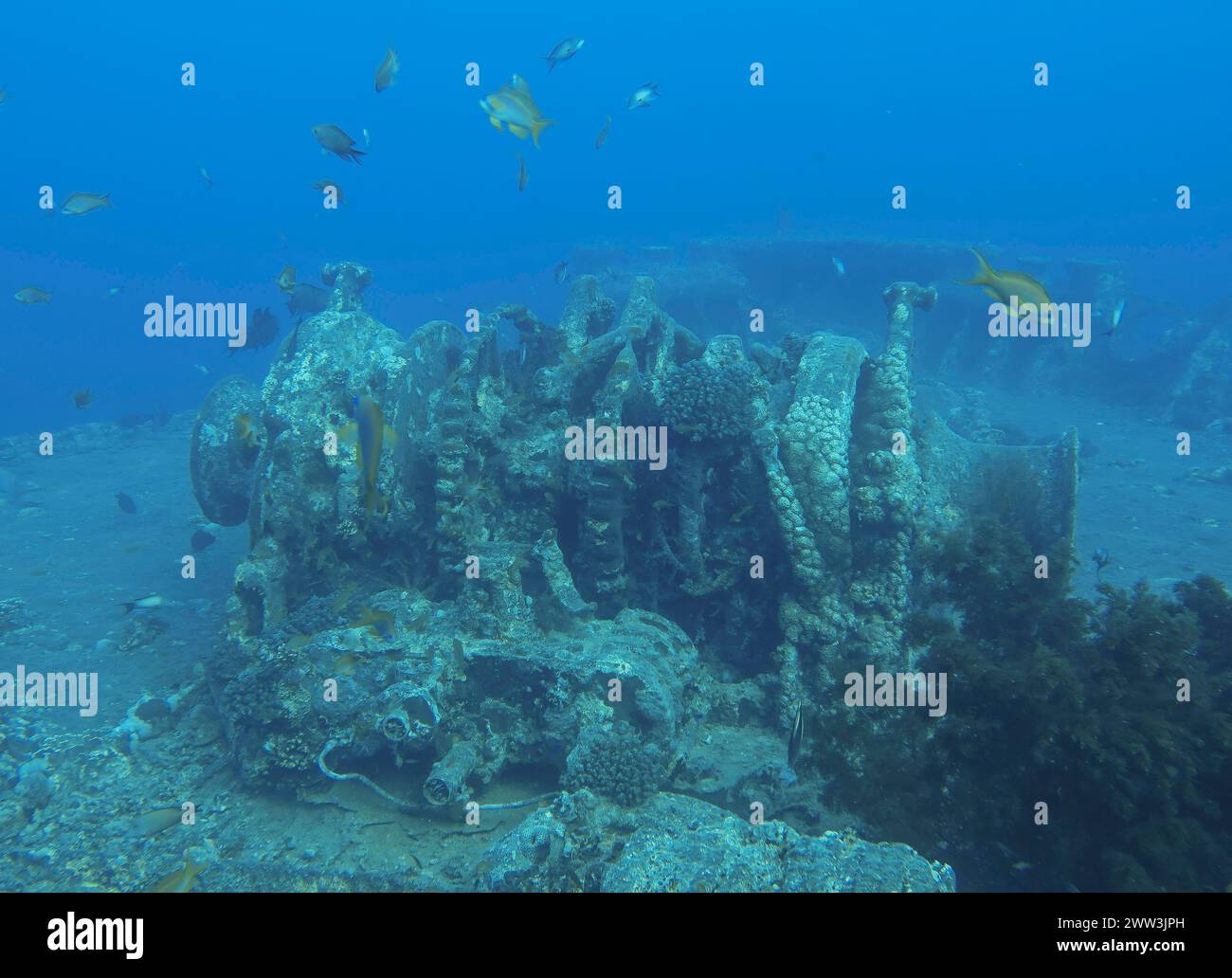 Winch on the upper deck, dive site wreck of the Thistlegorm, Red Sea ...