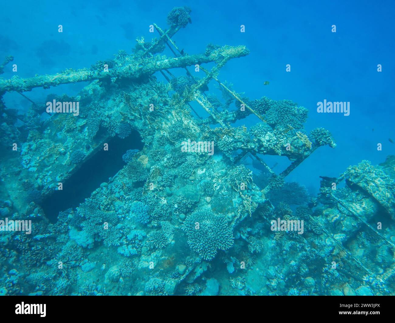Giannis d wreck red sea hi-res stock photography and images - Alamy