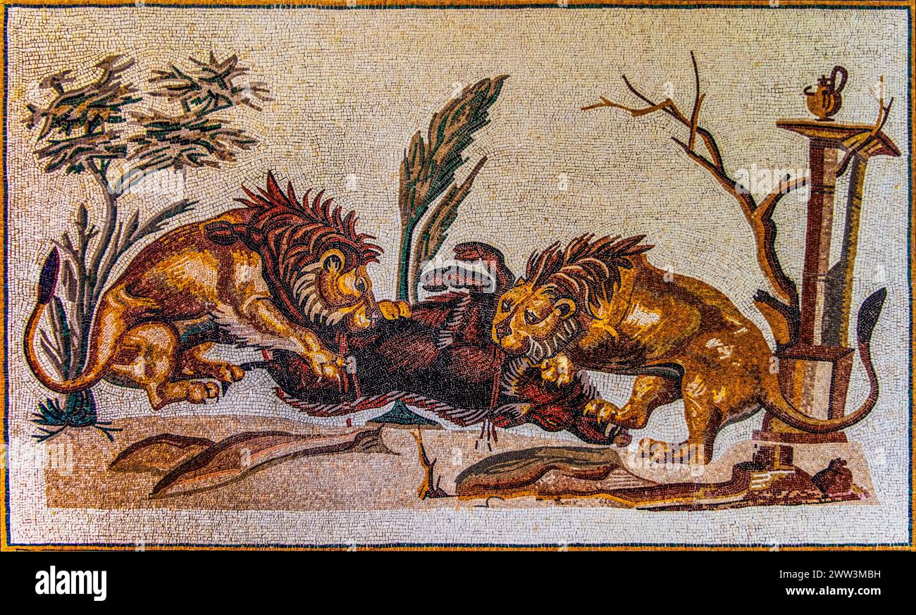 Lions attacking a wild boar, mosaic copy, Casa della Processione, El Jem, 2nd century, mosaic school producing mosaic masters, Spilimbergo, city of Stock Photo