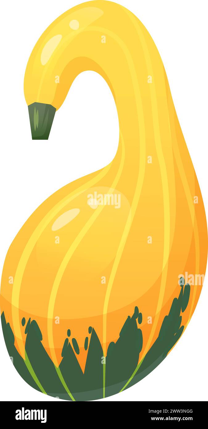 Squash cartoon icon. Autumn natural organic vegetable isolated on white ...