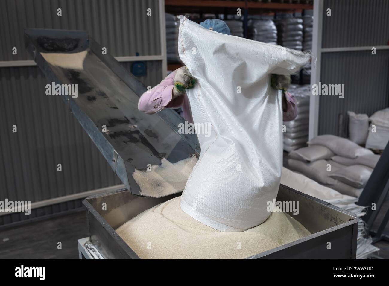 A worker at a manufacturing plant pours a bag of sugar onto a conveyor belt for further processing Stock Photo