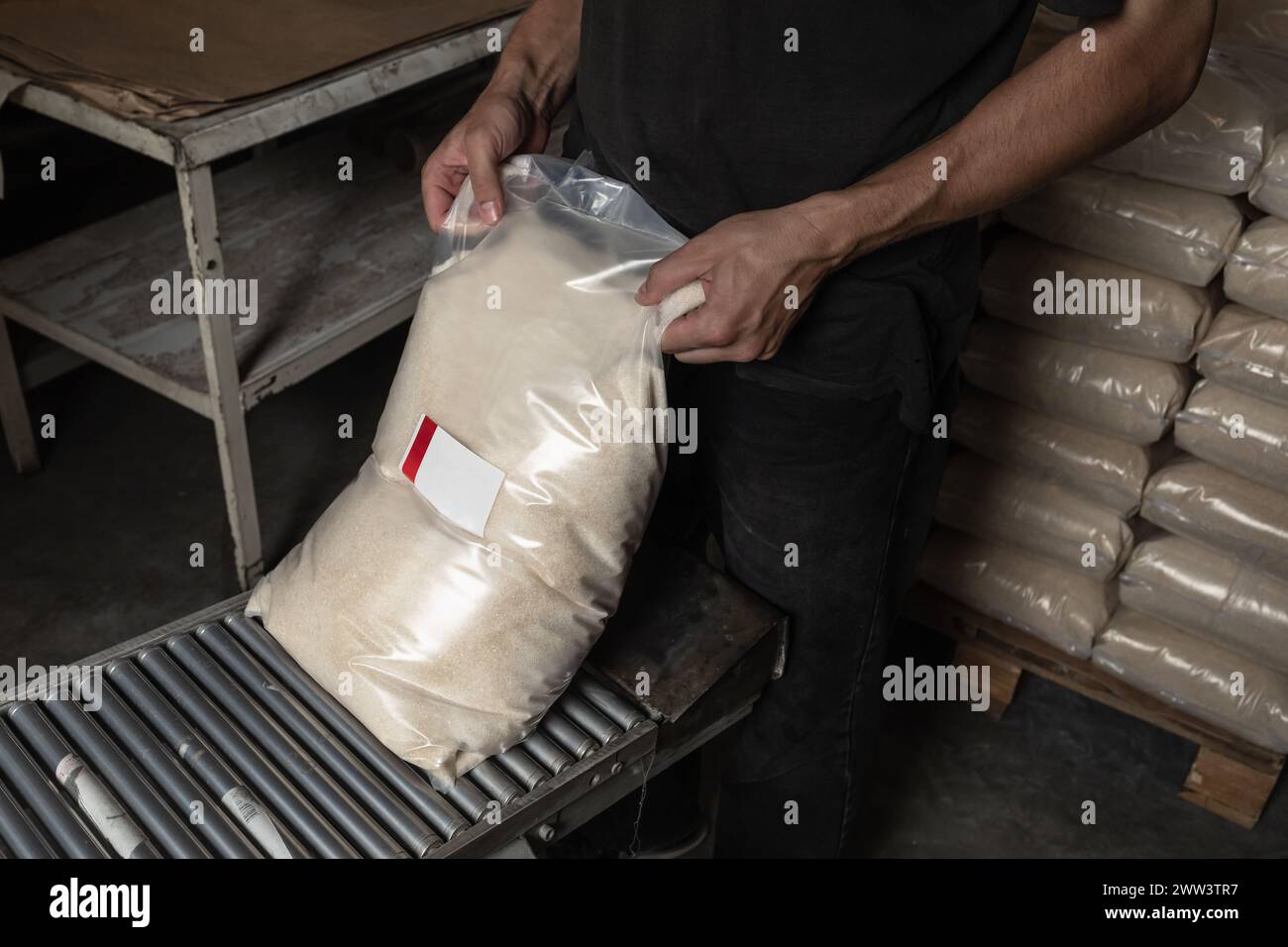 An employee in a dirty workshop is engaged in packing food, takes a full bag of sugar from the assembly line, a concept on the counterfeit manufacture Stock Photo