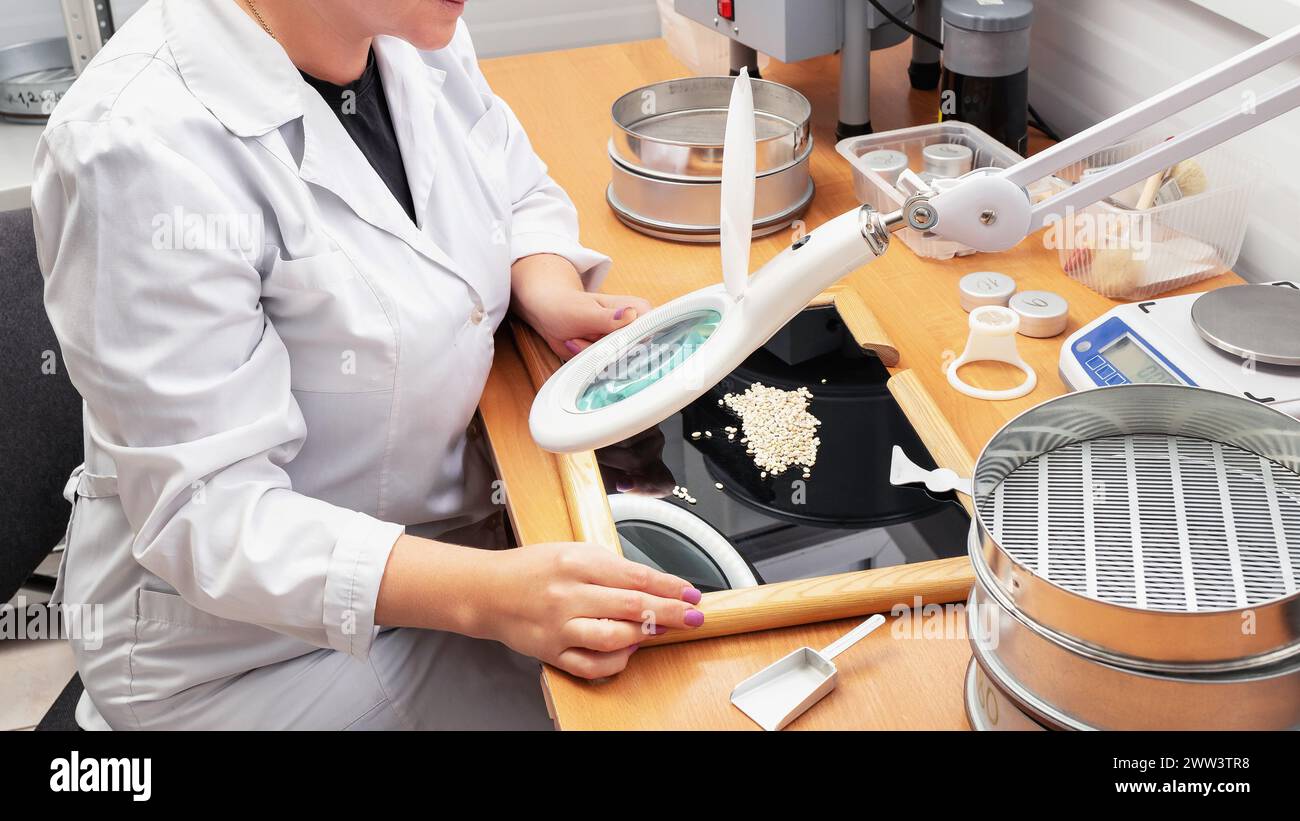 A specialist from a biological laboratory of an agricultural enterprise uses an optical device to analyze the quality of grain and determine the degre Stock Photo