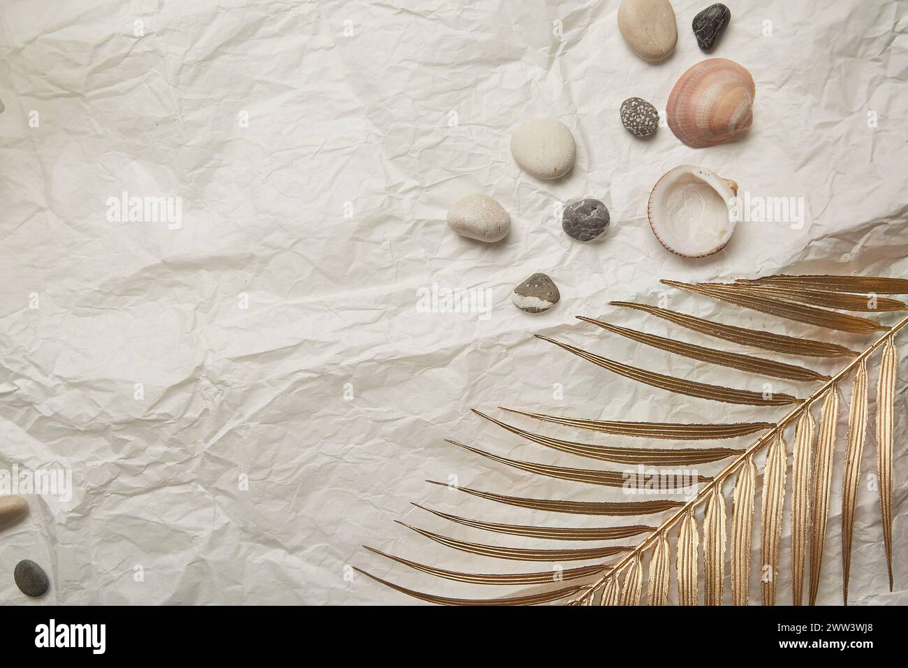 Collection of seashells and stones on a crinkled paper backdrop. Copy space. Stock Photo