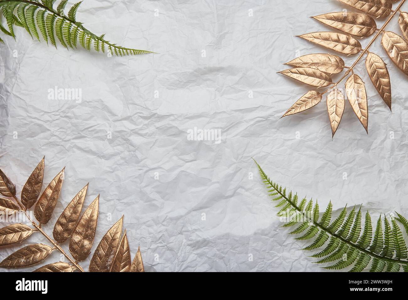 Summer background with ferns and golden leaves and copy space. Stock Photo