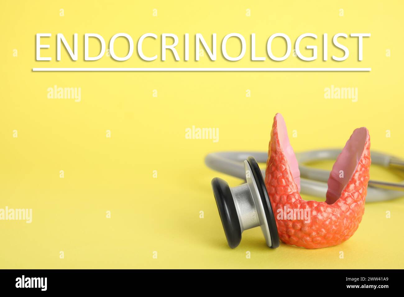 Endocrinologist. Model of thyroid gland and stethoscope on yellow background, closeup. Space for text Stock Photo