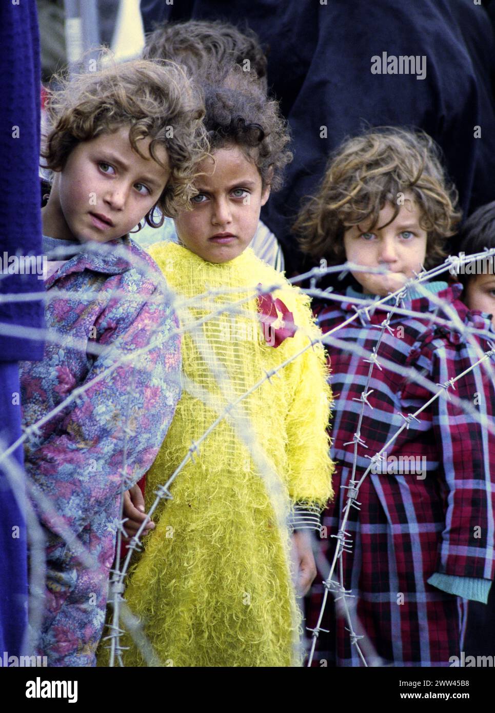 23rd March 1991 Behind a tangle of barbed wire, three little Shia Iraqi ...
