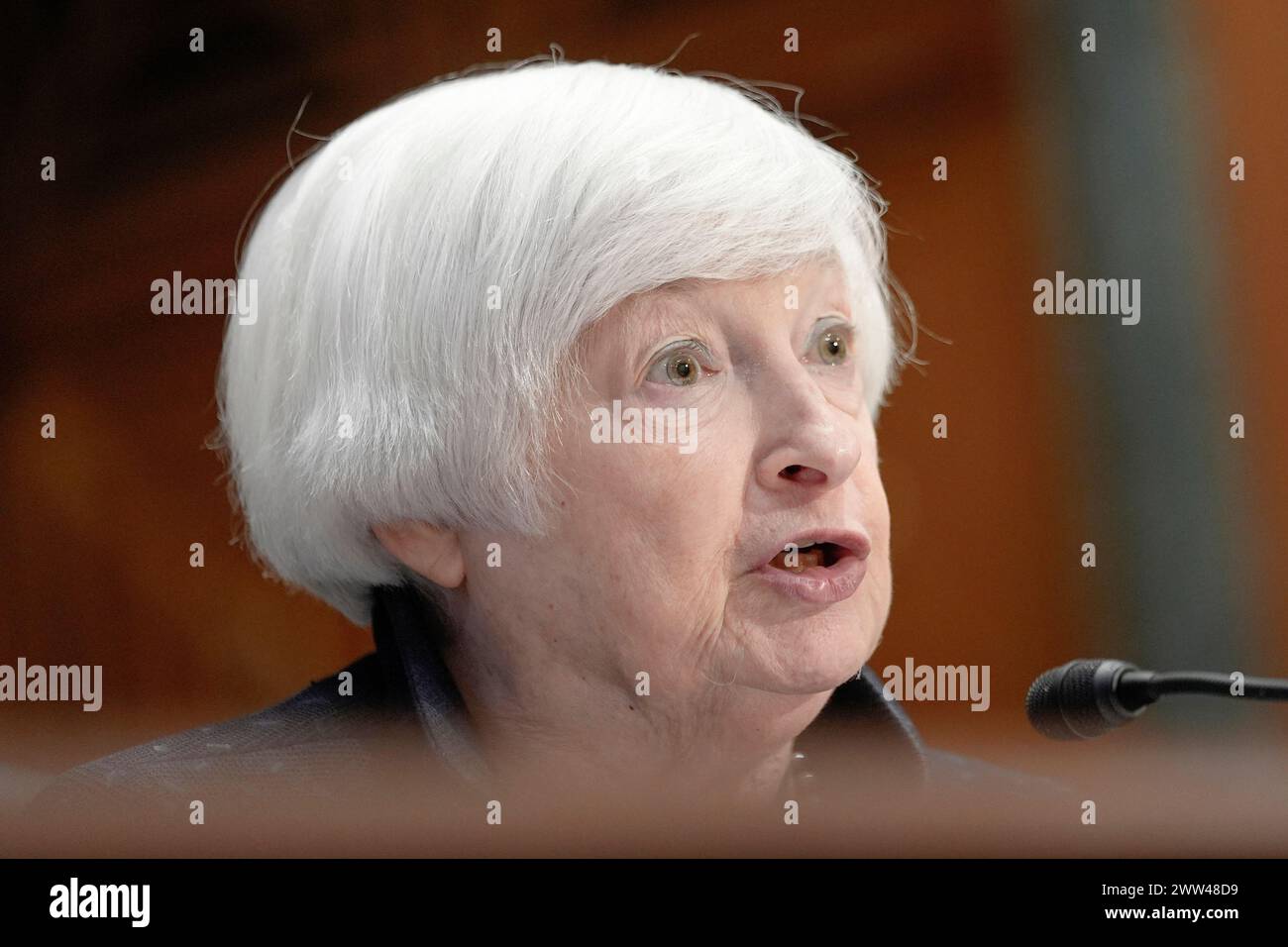 Treasury Secretary Yellen testifies during a Senate Finance hearing to examine President
