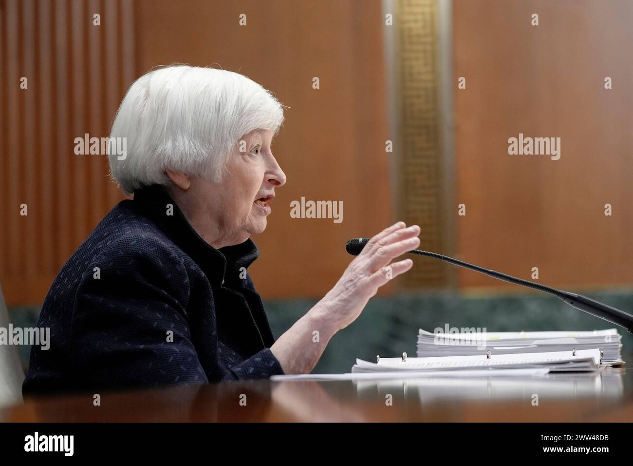 Treasury Secretary Yellen testifies during a Senate Finance