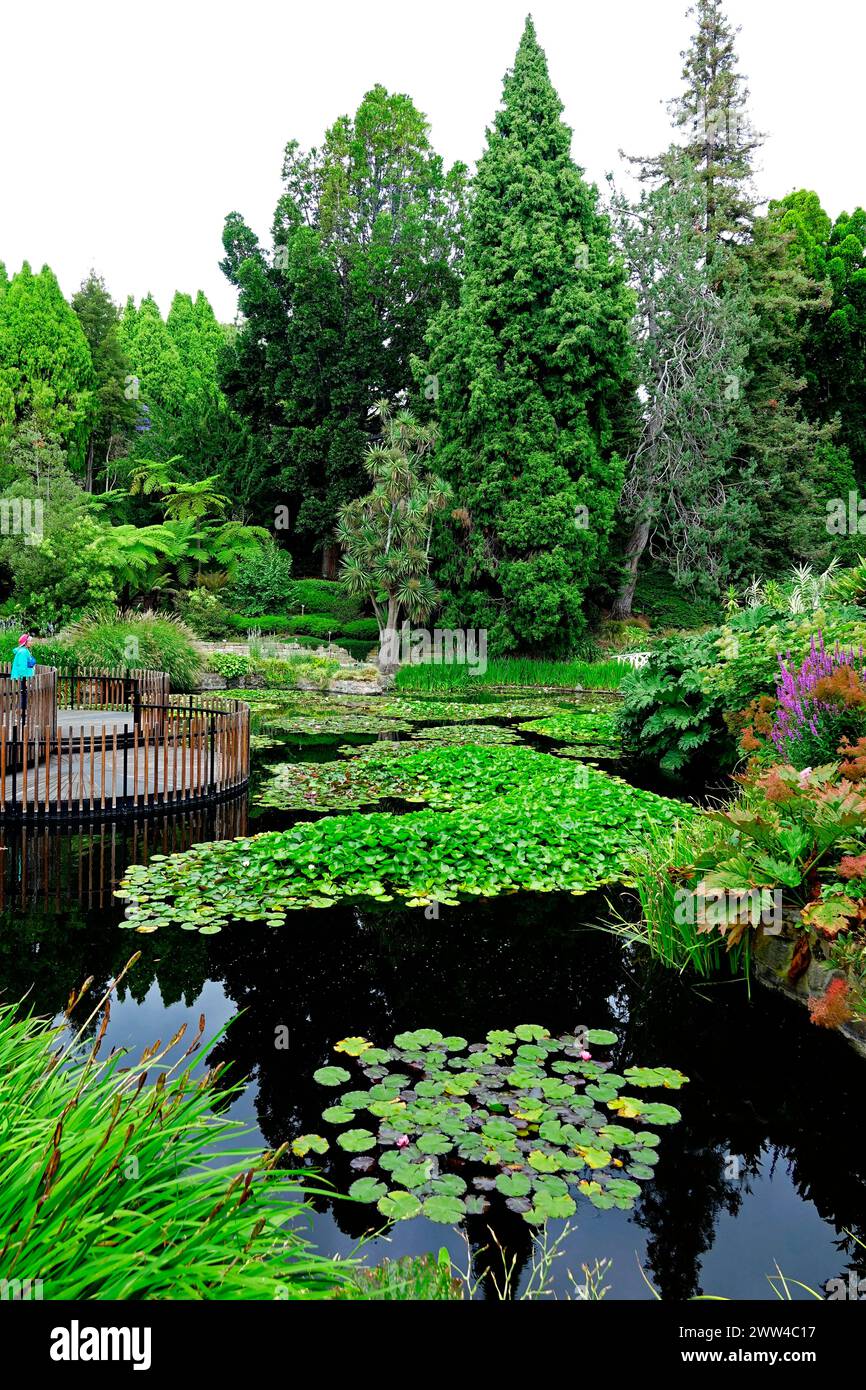 Royal Tasmanian Botanical Gardens Pond Hobart Tasmania Australia Stock 