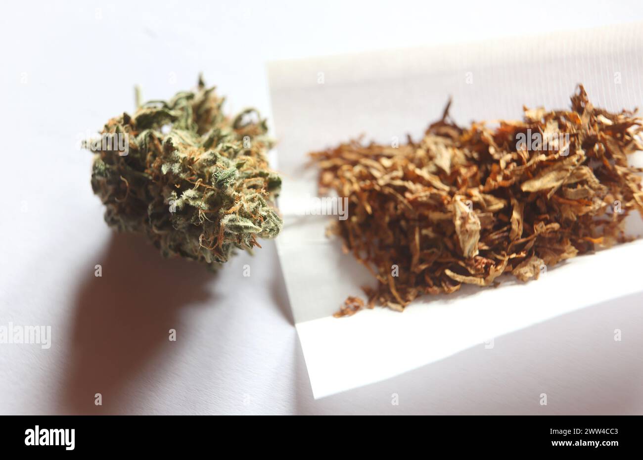 Augsburg, Germany. 21st Mar, 2024. A dried cannabis flower lies next to cigarette paper and tobacco. The Bundestag has approved the controlled release as of April 1. However, the decision of the Bundesrat is still pending. There is still no clear majority in the Bundesrat for the controversial legalization of cannabis next Friday, 22 March. Credit: Karl-Josef Hildenbrand/dpa/Alamy Live News Stock Photo