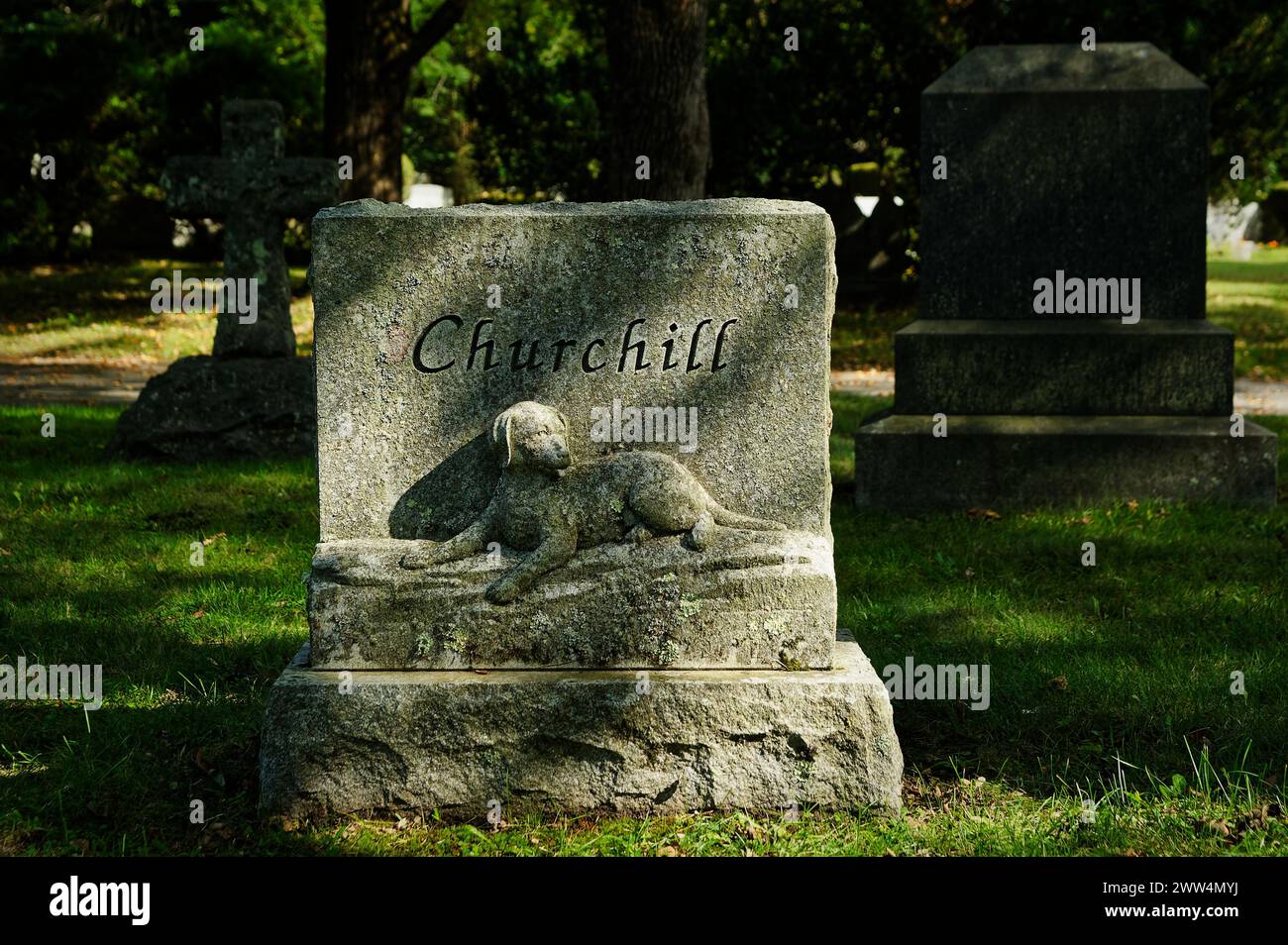2023 - Lowell Cemetery - Lowell, MA. A vintage gravestone labeled Churchill with a small sculpted dog at the base wrapped in highlights and shadows of Stock Photo