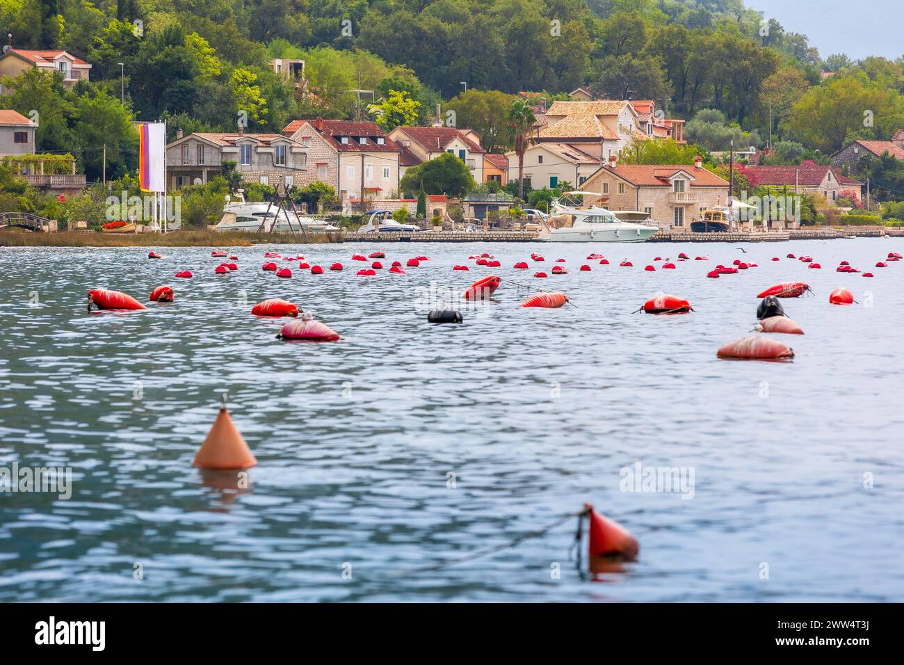 Mussel and oyster farm in Montenegro, Bay of Kotor and ancient town