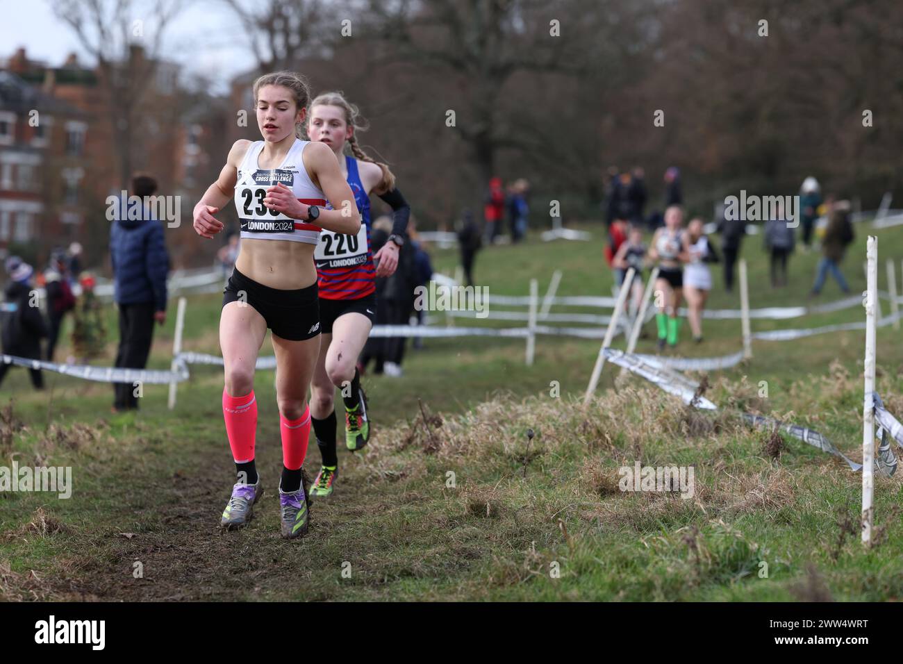 Ellarose hi res stock photography and images Alamy