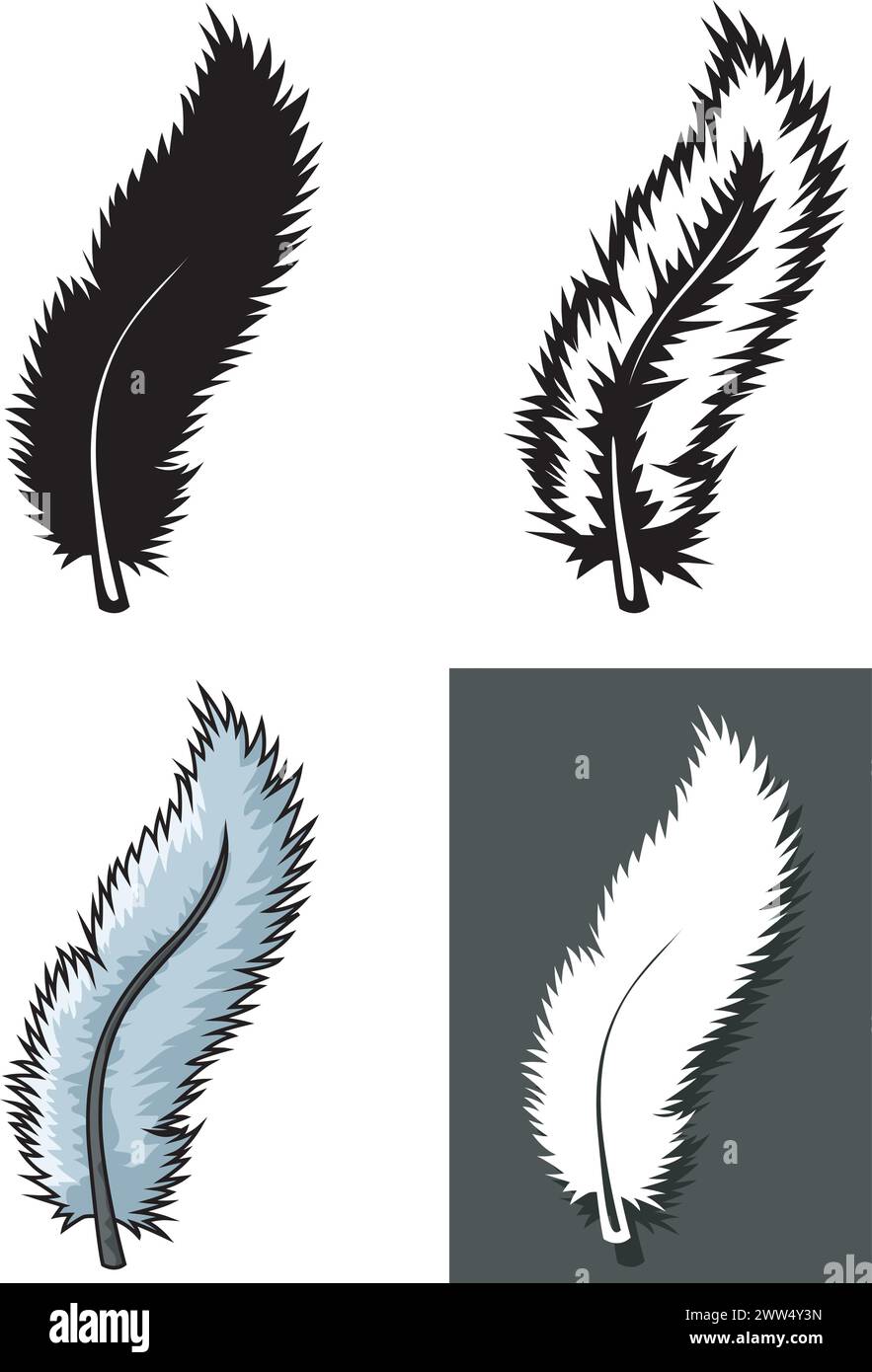 Set of Feathers Types with Different Concept, Vector Illustration Stock Vector