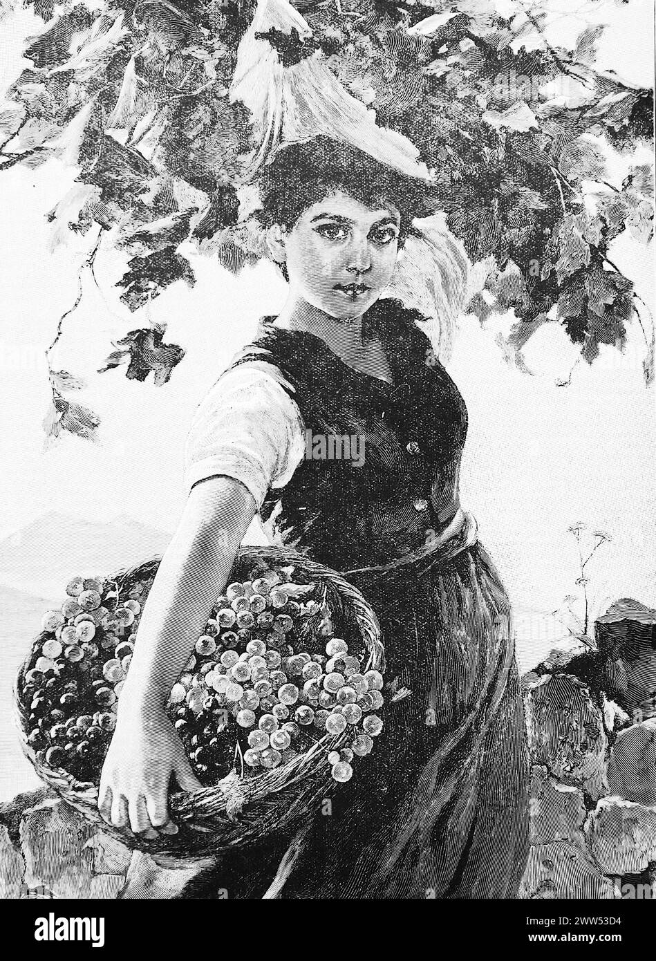 Young Eyes, a lady with a basket of fruit, from an unattributed drawing. Black and white. Photograph taken from a magazine originally published in 1898. Stock Photo