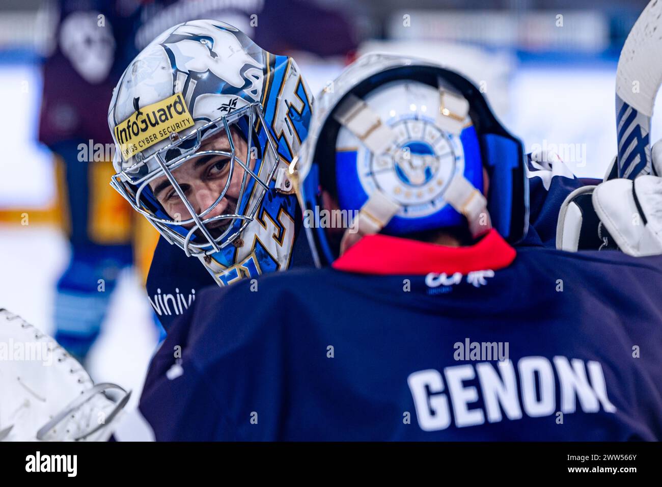 SC Bern 2016 - 2017 Goalkeeper Ice Hockey Festina Jersey #30 Genoni