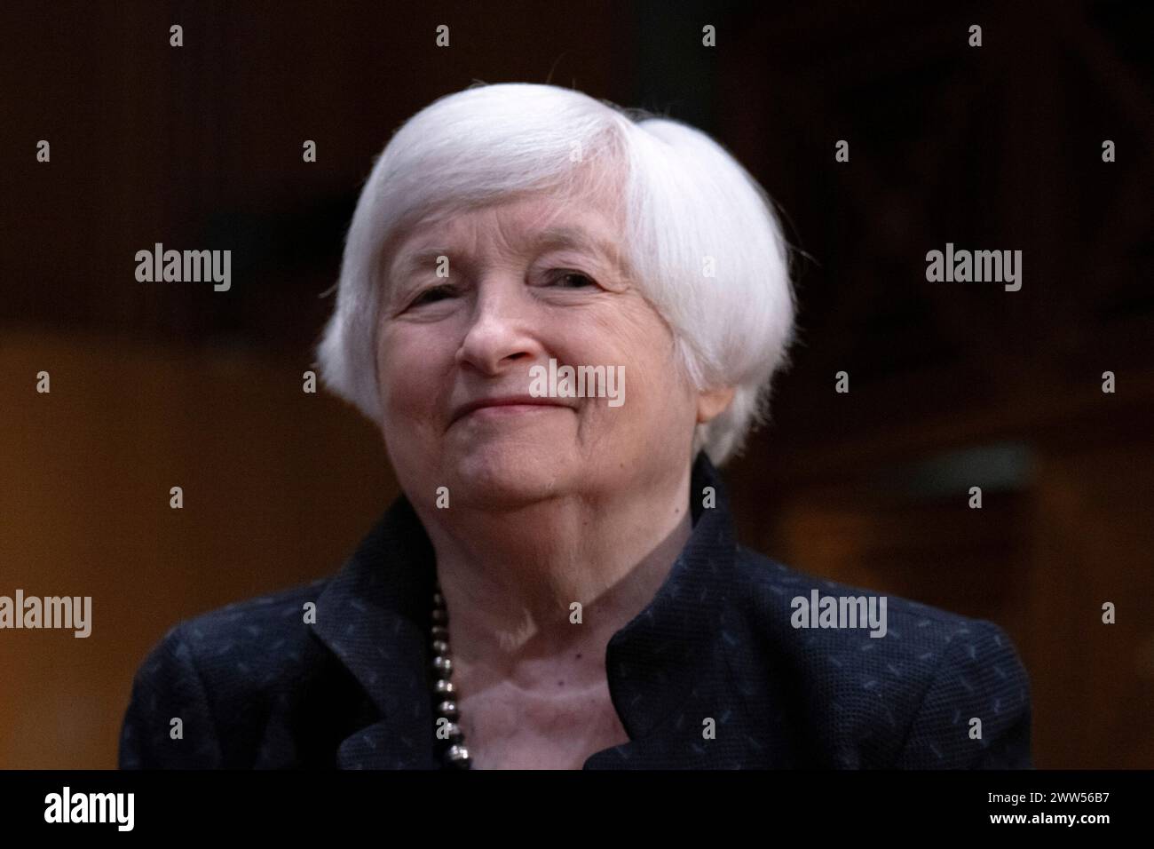 United States Secretary of the Treasury Yellen testifies before