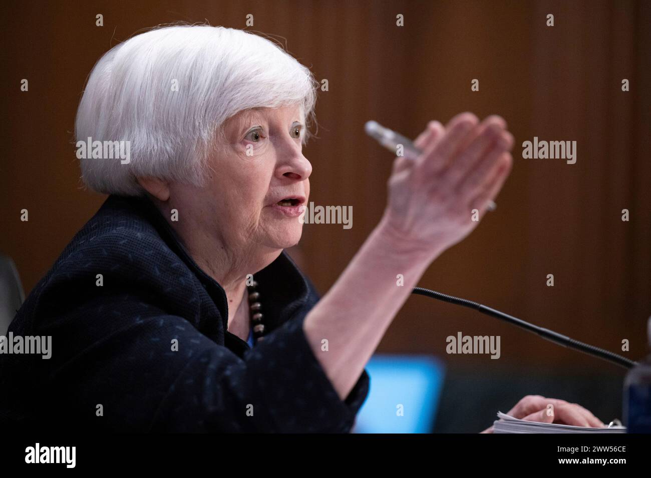 United States Secretary of the Treasury Yellen testifies before