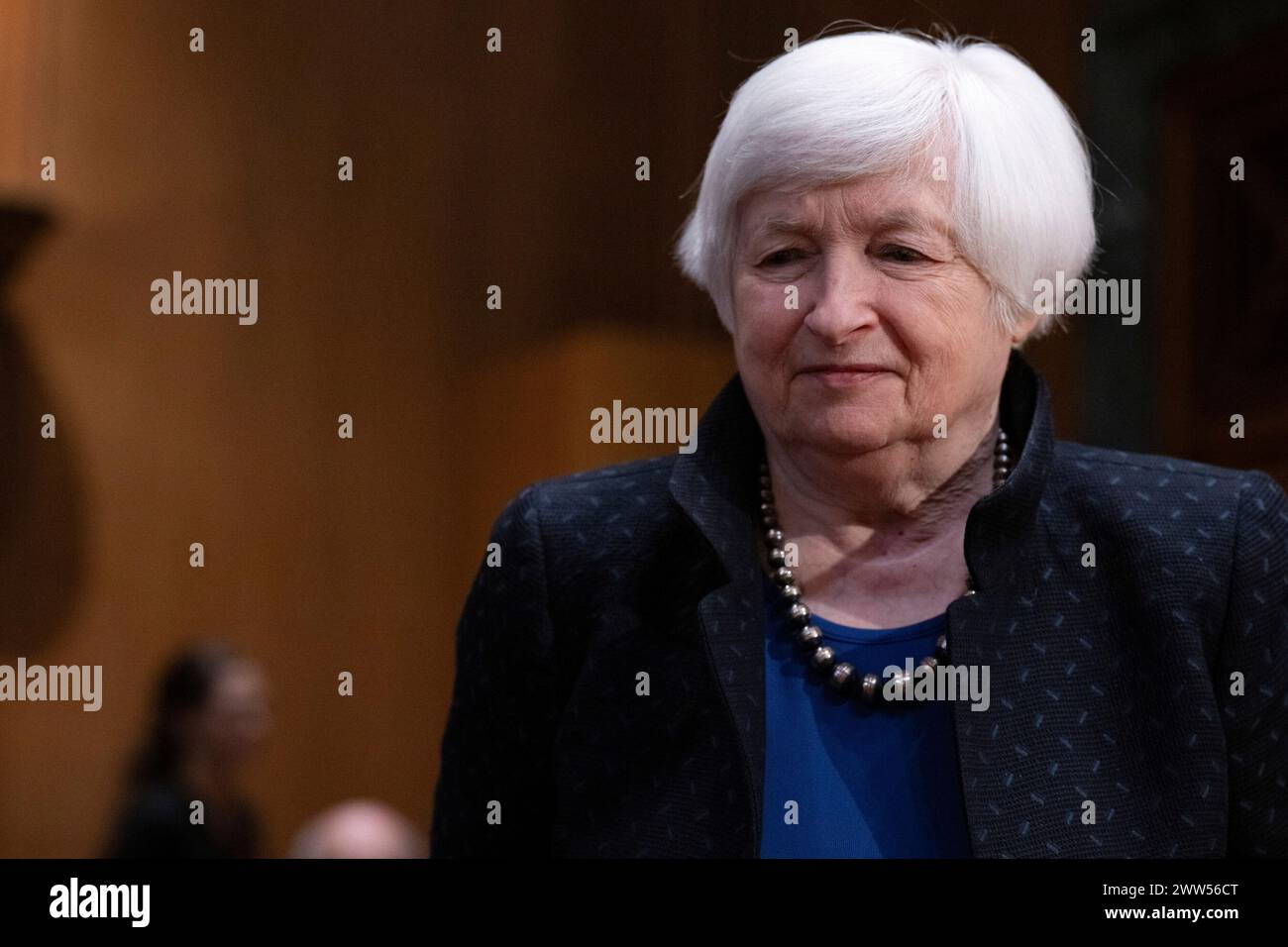 United States Secretary of the Treasury Yellen testifies before