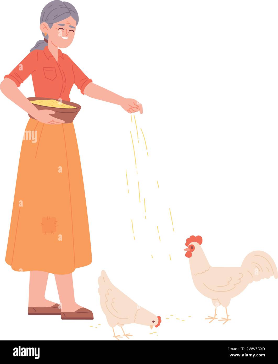 Farmer woman feeding poultry. Rural chicken animal isolated on white ...