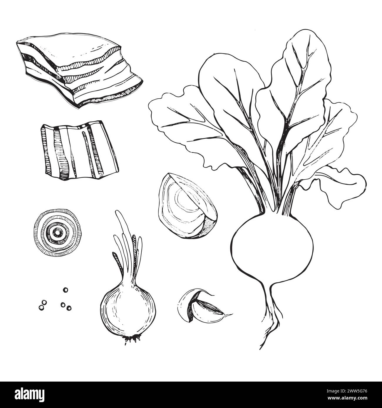 Set of vector illustrations. Beets with tops, a slice of beets, onions, lard, bacon, garlic, pepper drawn with a black outline in vector. Stock Vector