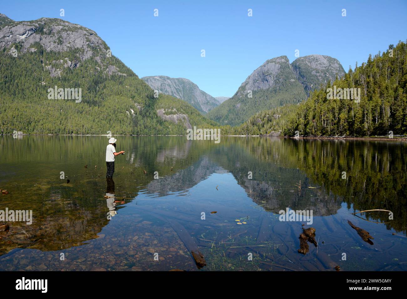 A man fly fishing for cutthroat trout at a remote mountain lake in the Great Bear Rainforest region, on the Central Coast of British Columbia, Canada. Stock Photo